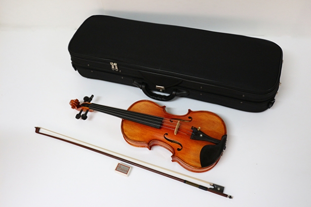 H1A 小提琴Venus虎背紋(高級) 1