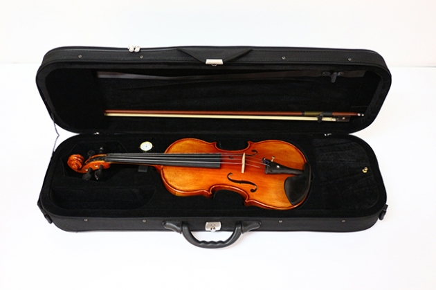 H1A 小提琴Venus虎背紋(高級) 5