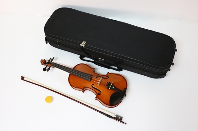 H1B 小提琴Venus虎背紋(仿古) 1