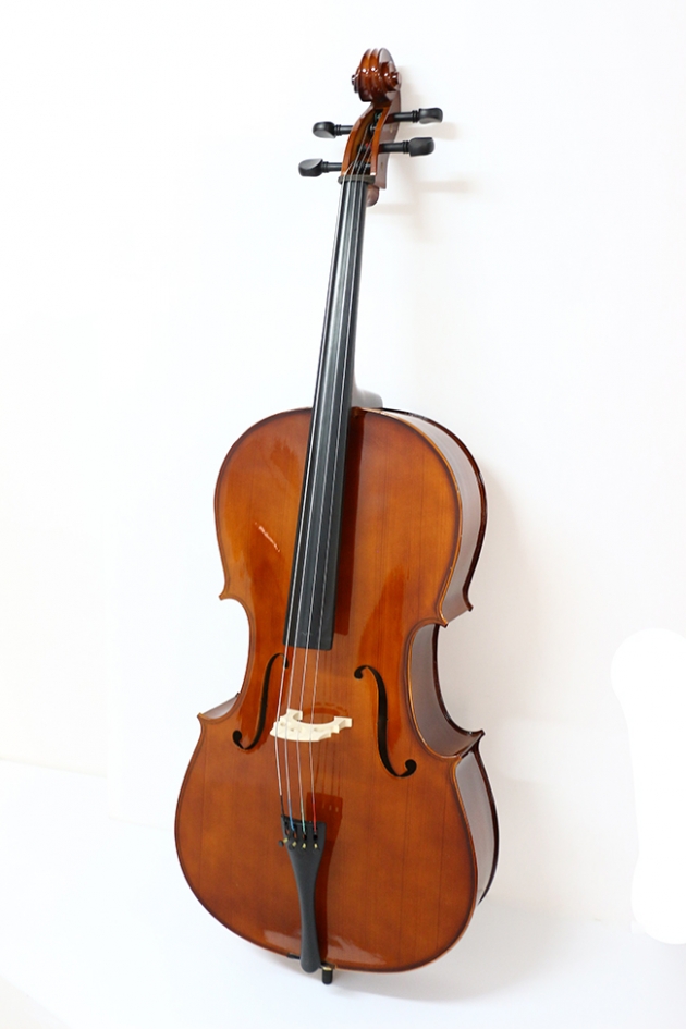 H25B 大提琴附袋(素面) 1