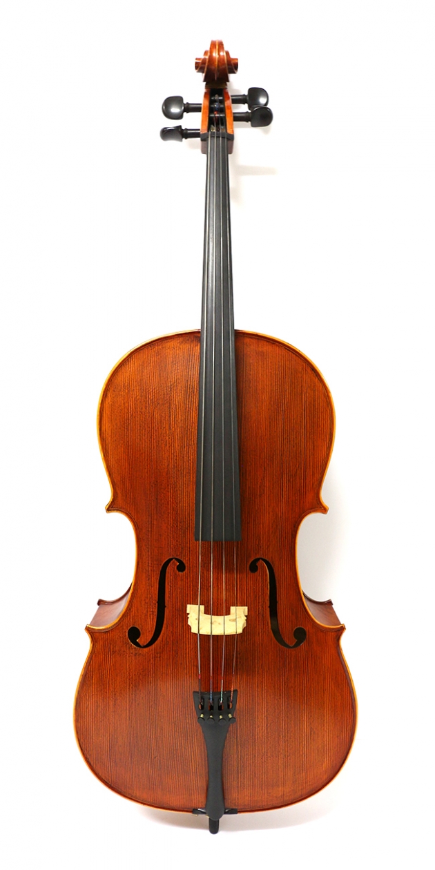 H25C 大提琴附袋(虎背紋) 1