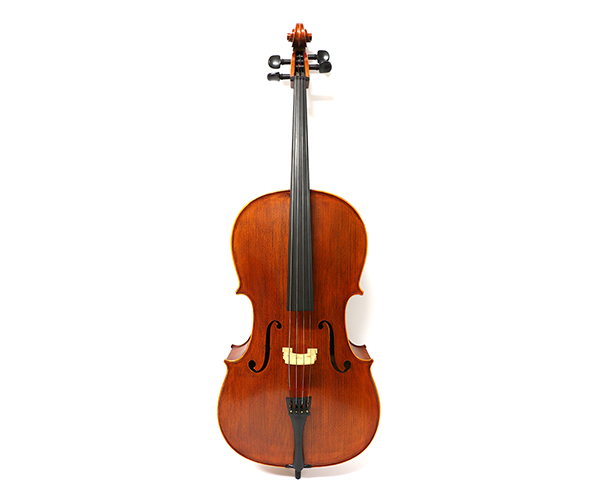 H25C 大提琴附袋(虎背紋)